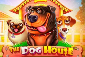 The Dog House